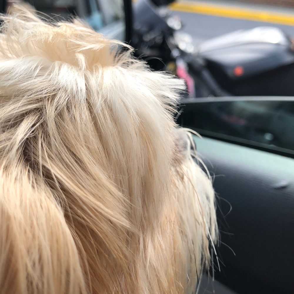 Meet your Posher, Misgana